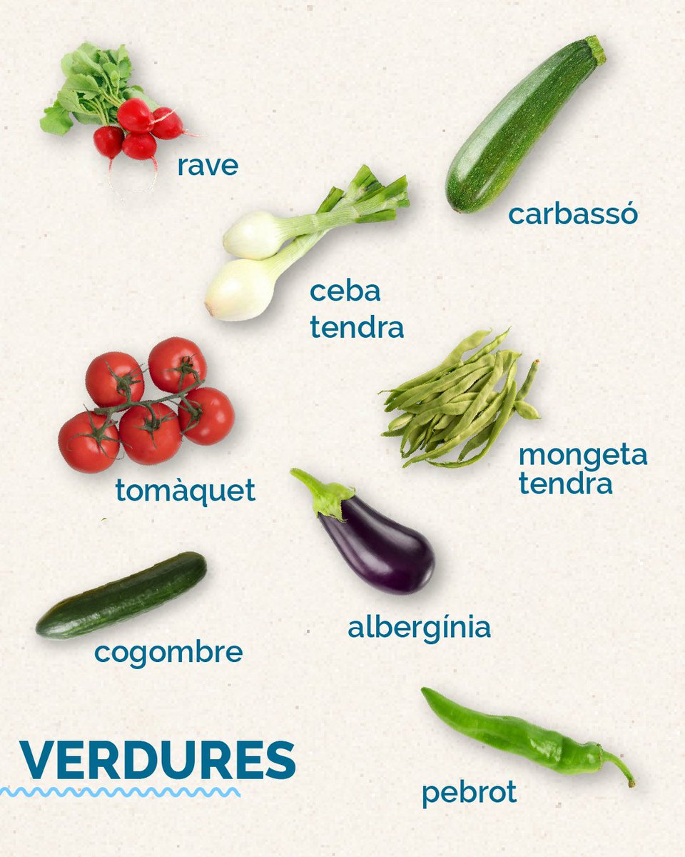 Condislife's tweet photo. Oficialment entrem al mes dels sopars a la fresca, els tuppers a la platja, els capvespres llargs i els talls de síndria ben freda a mitja tarda. 🍉⛱️

El mes de gaudir sense pressa ja és aquí. Passa per Condis, omple el cistell de colors d'estiu i a viure'l al màxim! 🛒✨ https://t.co/XfiEHGzss5