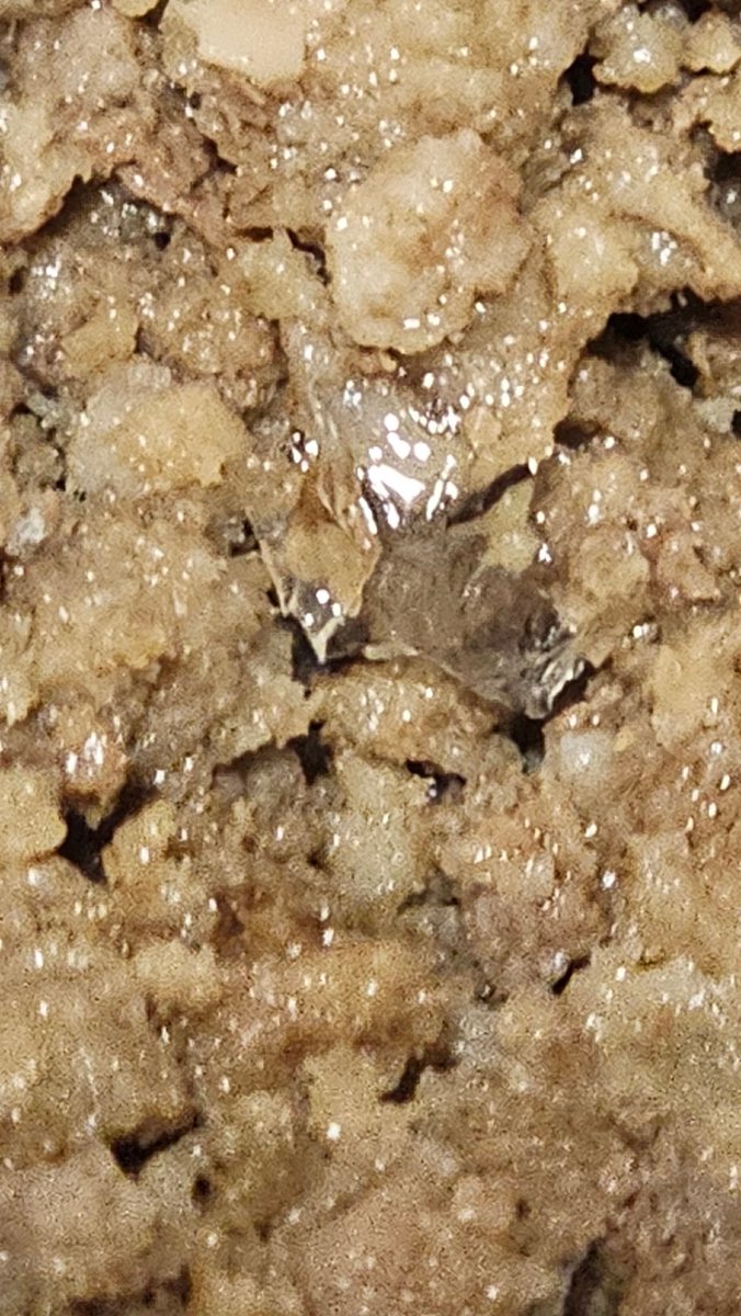 johancoe's tweet photo. @Makro_SA strubens valley, plastic pieces in the mince, they knew someone put the plastic bag in the grinder, and simply sold the mince on special, thus should not be sold Makro!!!! https://t.co/PYz9oSq1cY