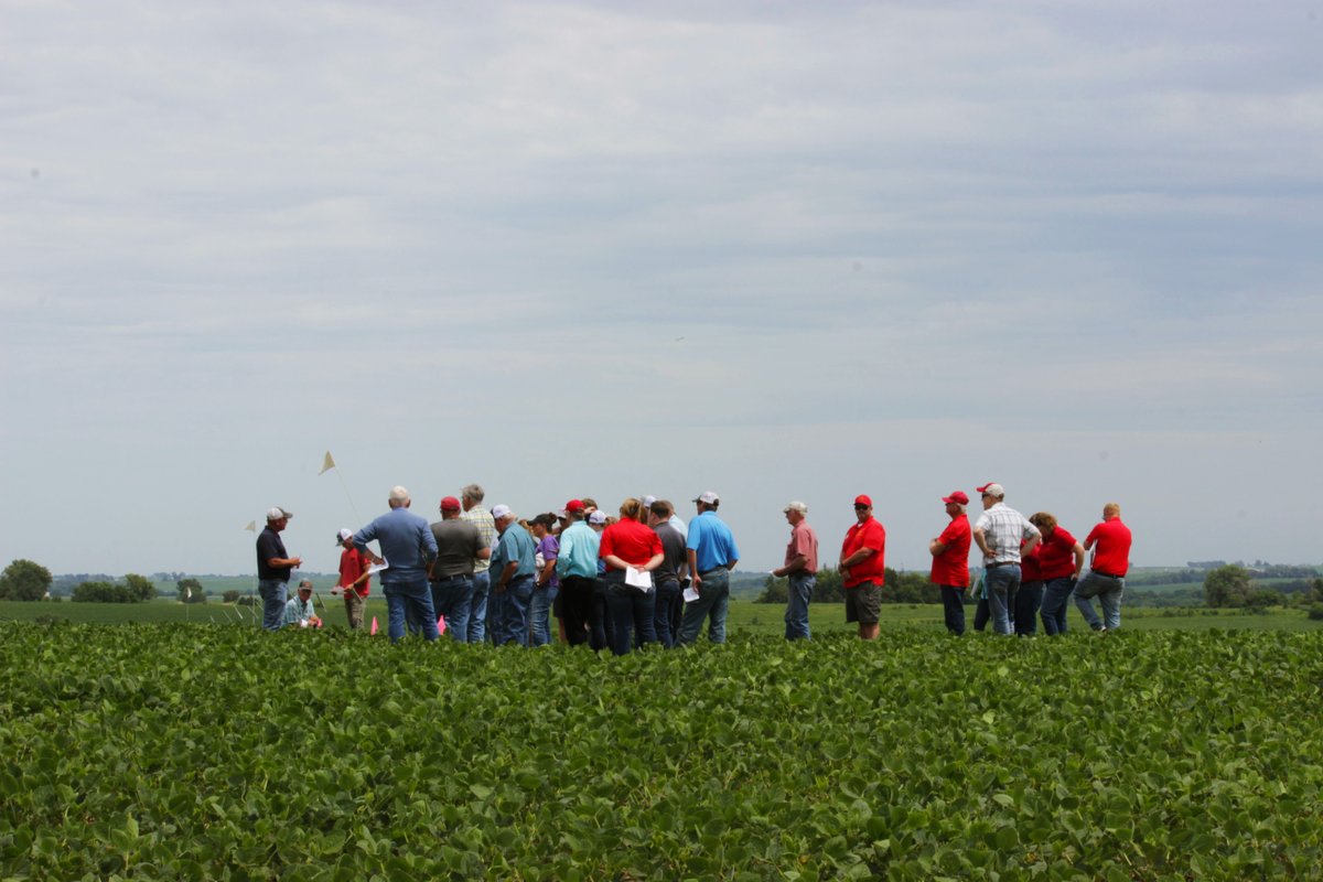 ISUCropNews's tweet photo. It's field day season! The last two weeks @ISUExtension campus specialists and field agronomists  have been busy with summer field days and in-season trainings. It's been great seeing everyone at each of these events!  

There are more field days to come: https://t.co/yPs23J0tiq https://t.co/IX4CPiIgLh