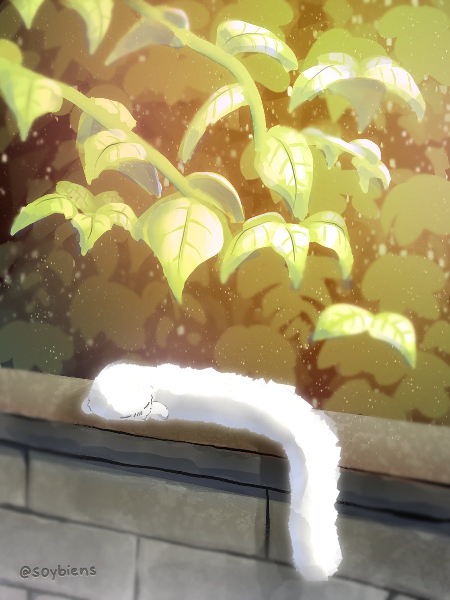 soybiens's tweet photo. oh to be a brushbuddy in a lazy afternoon ;-;

#WitchHatAtelier #Δ帽子 #WHA #brushbuddy https://t.co/Ox5zuz8ZP7