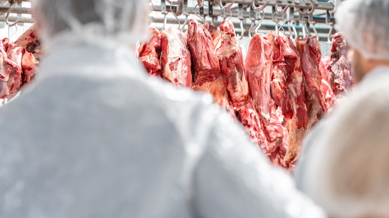 natprovisioner's tweet photo. A reverse bill of materials can help meat and poultry processors better track yield, costs and production data as one carcass, primal or whole bird becomes multiple outputs.

Read more: https://t.co/F0scZYjqb8
Photo credit: Getty Images/Edafoto https://t.co/UM0Wz7fSxc