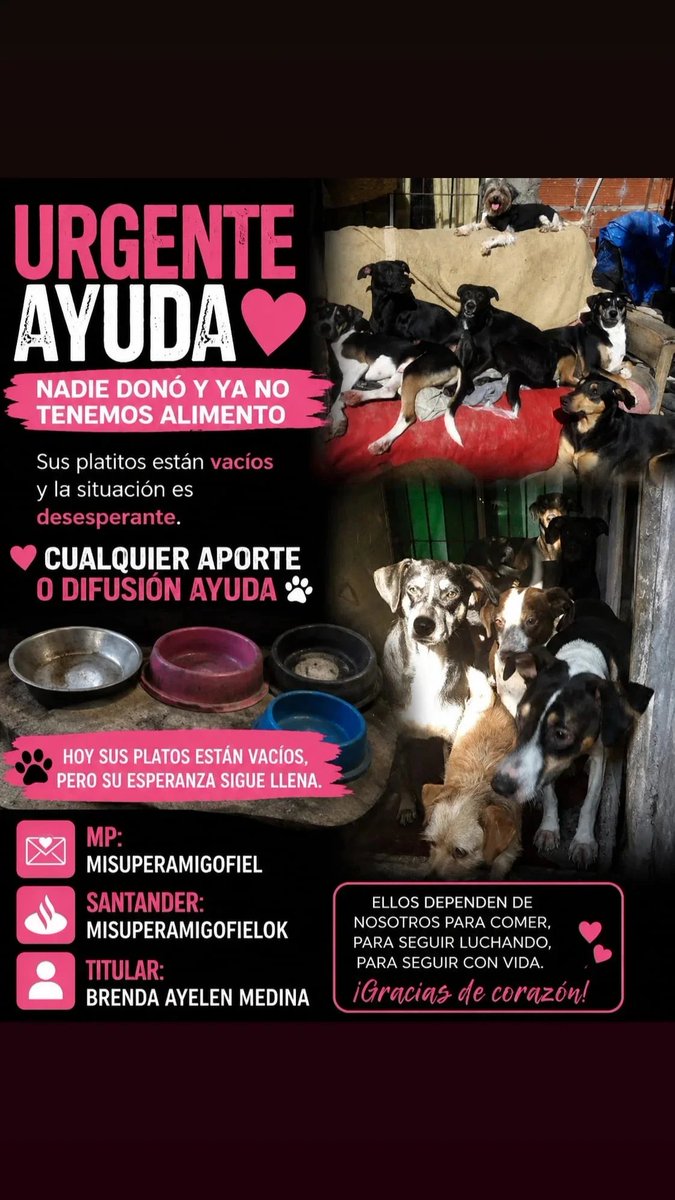 misuperamigo's tweet photo. 🆘️ URGENTE AYUDA 🆘️
ESTAMOS SIN ALIMENTOS

❤️‍🩹NI 1 SOLA PERSONA donó y ya no tenemos alimento. Sus platitos están vacíos y la situación es desesperante.

🙏 Cualquier aporte o difusión ayuda.

MP: MISUPERAMIGOFIEL
Santander: MISUPERAMIGOFIELOK
Titular: Brenda Ayelen Medina 🐾 https://t.co/6xvs1ZH1K0