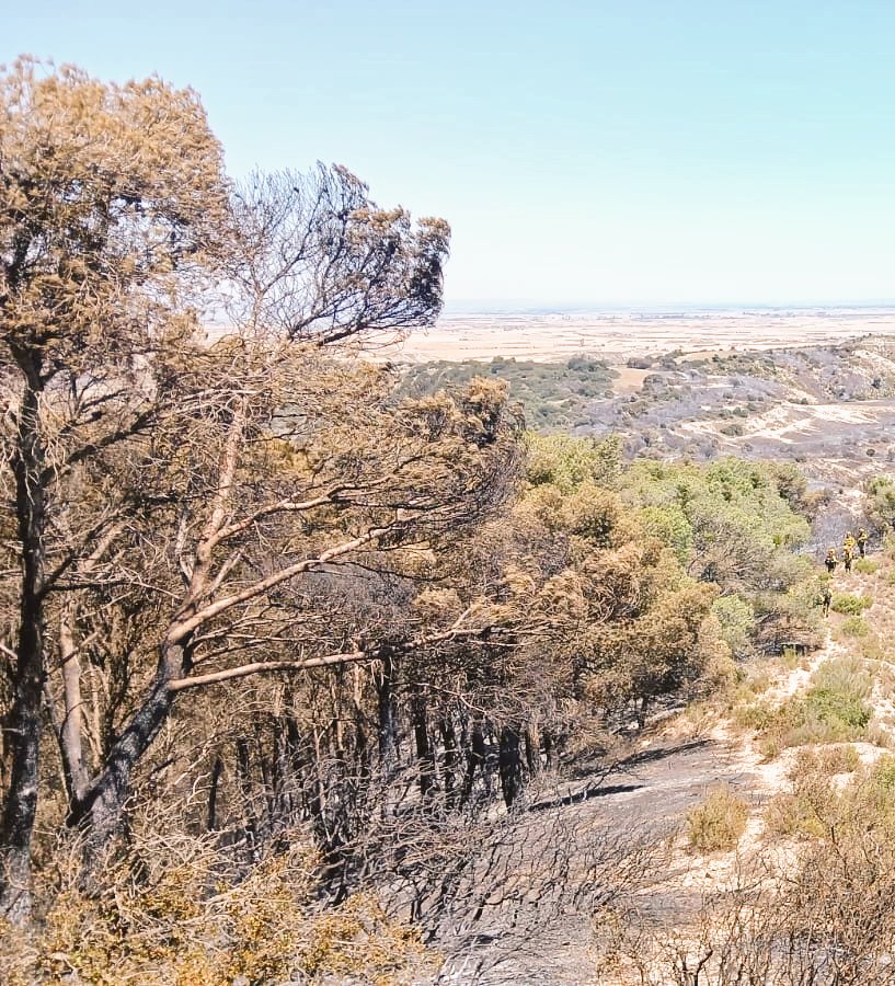 BRIFpradotwit's tweet photo. #BRIF cuenca TP salió a las 11:00h.Aprox al #IFLeciñena con sus 2️⃣helis🚁🚁y un convoy d 5️⃣coches🛻y 20 #BomberosForestales 👨‍🚒👩‍🚒
Su labor se concentra en rematar puntos calientes y repasar perímetro para evitar reproducciones que pueda activar el viento🌬 https://t.co/bAcgukfmVJ