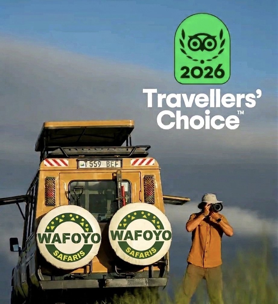 wafoyosafaris's tweet photo. Experience the best of African hospitality and safari experience with Wafoyo Safaris. Be the first to testify about the hidden treasures of Africa. 

Explore the unforgettable tranquility of nature and beautiful wildlife while you immerse African culture. https://t.co/7hU4AZaqep