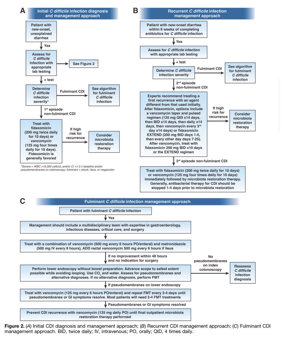 ICUAlgorithmLab's tweet photo. New AGA Clinical Practice Update: Expert guidance on managing Clostridioides difficile infection (CDI) in adults is now available. 🚽This update focuses on best practices for treating this common, often recurrent, and potentially fatal condition.
Fischer et al.
https://t.co/6Yc4yhWoAo

#Gastroenterology #MedEd #CDiff #AG