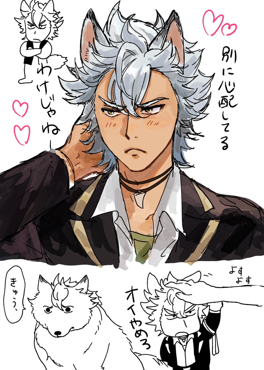 ジャクたんかわええー 