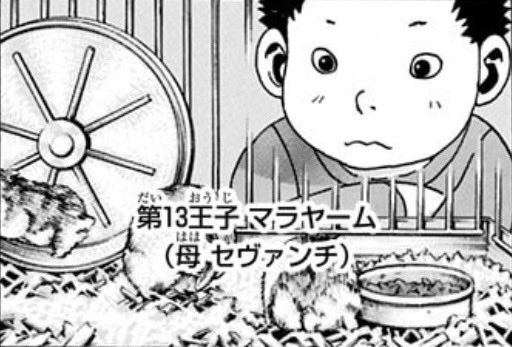 itorasu's tweet photo. 以下、説得力(小)

⑤お姉ちゃんのモモゼと髪色が違って黒髪
(モモゼが染めてるかもだけど)
(カチョウもフウゲツも髪色は違う)

⑥マラヤームはビヨンドの血が流れているので、ハンターの素質はあるはず

いいハンターは動物に好かれる
(ハムスターに好かれてるかはやや微妙)

#ハンターハンター https://t.co/1CoWdfC5jW