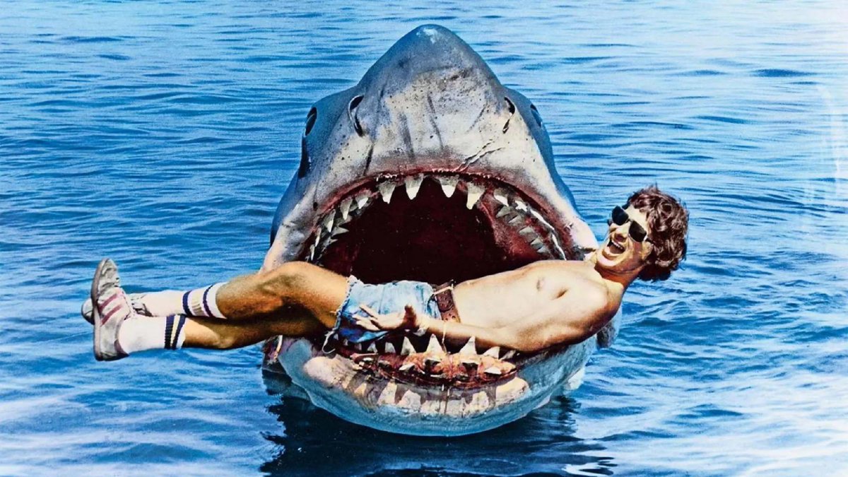 GatewayFC's tweet photo. ON SCREEN
Jaws (1975) 4K Restoration from director Steven Spielberg.

Spend your holiday weekend with us: https://t.co/2bzoPHUBs3 https://t.co/s8i8KQBMZZ