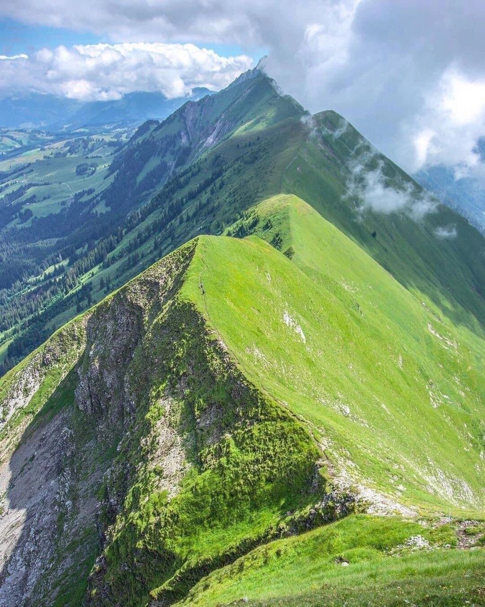 ilyshins's tweet photo. Just stumbled on a hidden mountain stream in the Alps—crisp air, sun-dappled stones, and not another soul for miles. This is the quiet magic we forget exists when we’re chasing busy schedules. ， https://t.co/EXI2V1MYKo