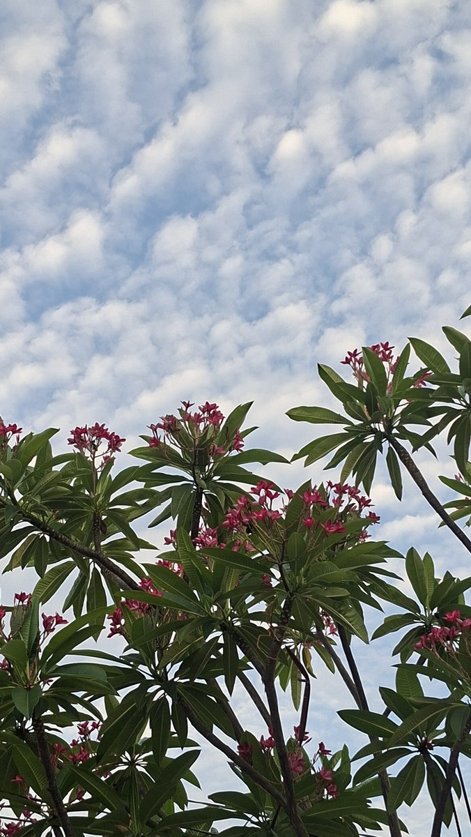 LaTalClau's tweet photo. Así mi cielo... https://t.co/PNg5JEhMfI