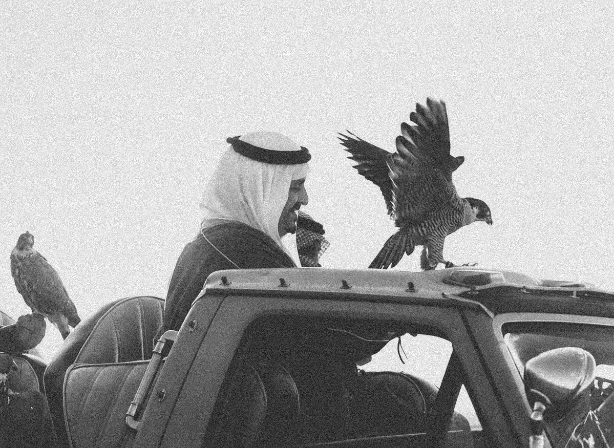 موطن القصيد tweet media