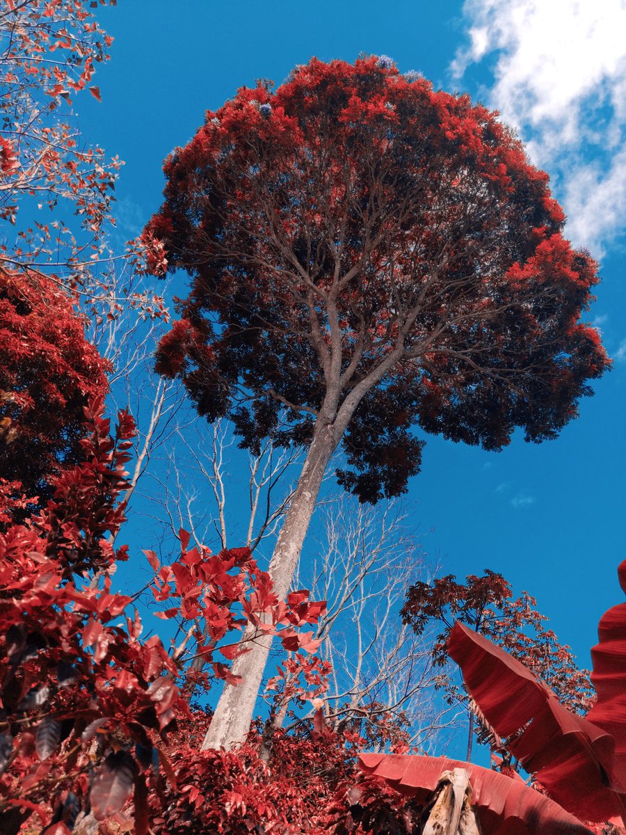 AntonDee_'s tweet photo. you've got red on you https://t.co/PuSPTKpg5V