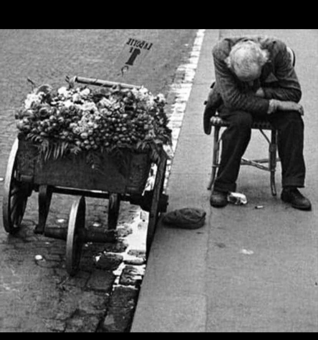 Shahbaz09878's tweet photo. تلخی زیاد دیده ام از زندگی، ولی 

جایی دلم شکست که باور نداشتم...

.
😔♥️ https://t.co/UuNxd10bNp
