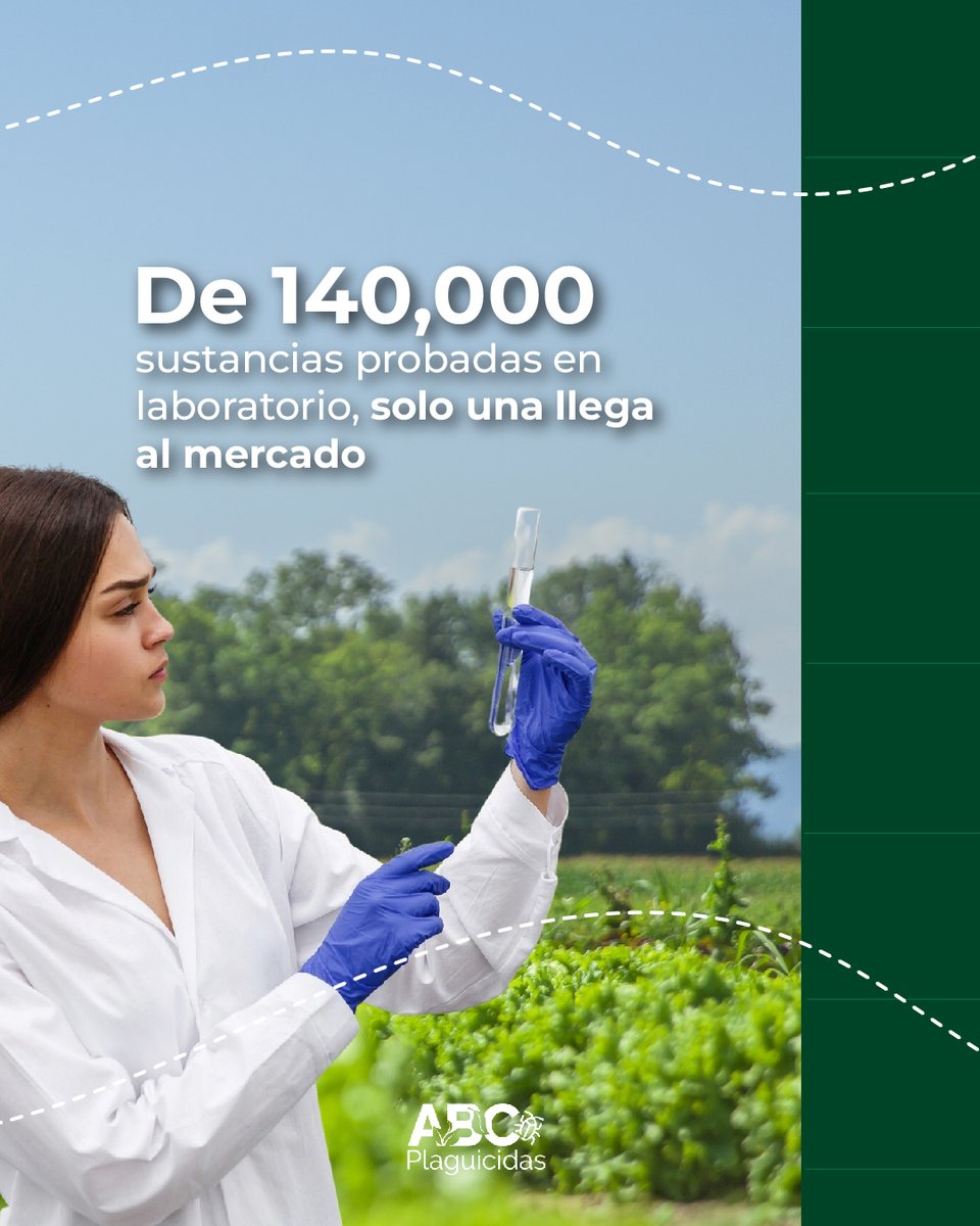 CropLife_La's tweet photo. El proceso de investigación y desarrollo en protección de cultivos implica más de 11 años de trabajo científico multisciplinario, rigurosas evaluaciones y estrictos estándares de seguridad y eficacia. 🌾 
🔗 Lee más sobre la ciencia detrás de cada plaguicida aquí: https://t.co/lYJ032PoWW