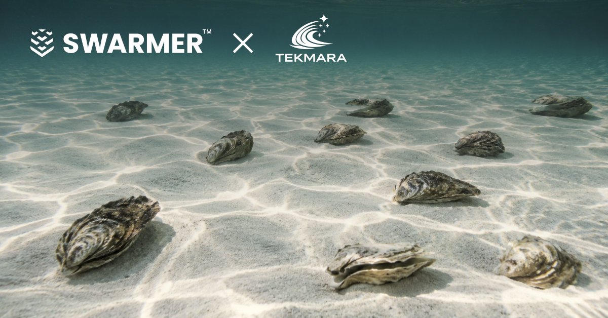 getswarmer's tweet photo. The same autonomy software proven in the world's most demanding combat environments can also help restore endangered ones. We're working with TEKMARA and @FIU to explore how autonomous drone swarms can support coastal restoration and environmental monitoring. Read more: https://t.co/gABBFsMFwE