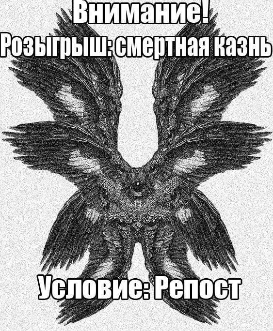 DantesDmitriy's tweet photo. https://t.co/e95UKJ7YQK