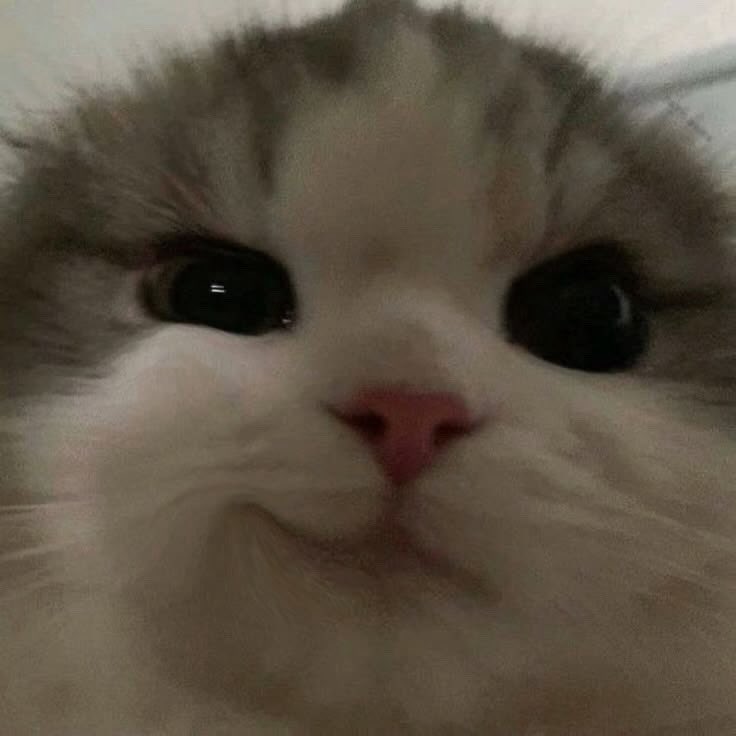 ateezofsan's tweet photo. https://t.co/dE2wYEZYiM