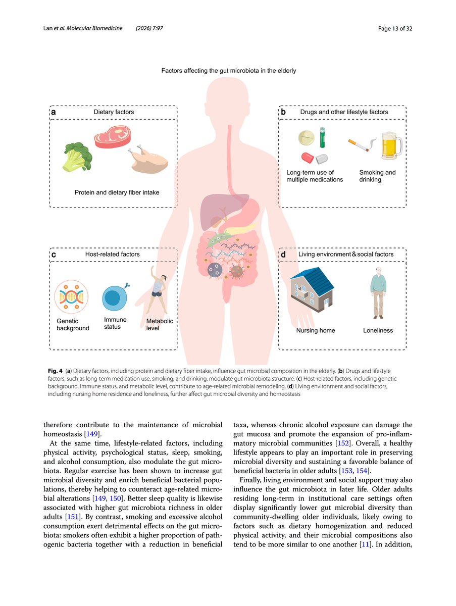 club_gut's tweet photo. @TeamPolyvalan New Review:
'Gut microbiota and aging: current understanding and future perspectives'
https://t.co/tbtrVSCR0k https://t.co/POCy6kRRPZ