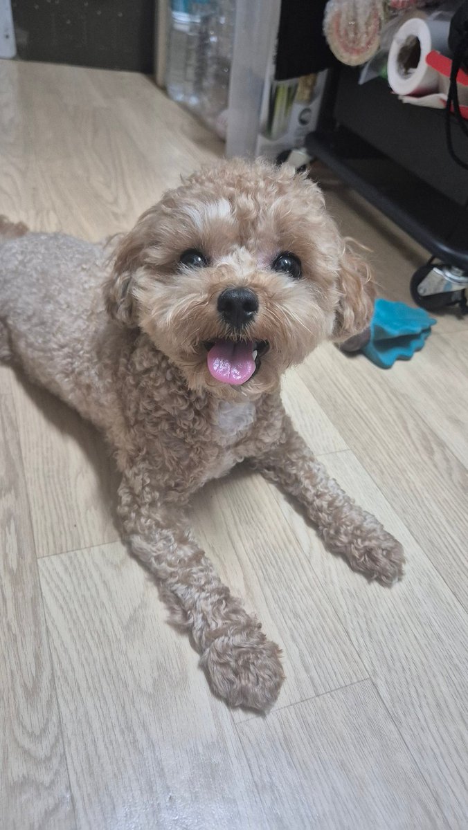 Blemae1's tweet photo. @Kheewon_518 뭐지? 귀엽내요 나도 자랑함 귀엽지 https://t.co/L8gP7srqBC