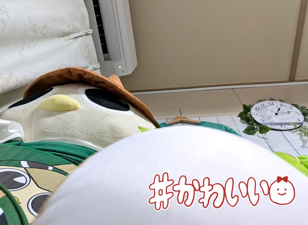 maccha_sc's tweet photo. ルンちゃまキーボードにして、毎日ルンちゃまに会えて、ルンルンずに、おはようとおやすみの挨拶をして、寝相が悪いとたまにデカルン様にお仕置と言わんばかりに顔面踏まれていたり(笑)、オフシーズンも緑ルームで1秒もリヴェルンやマスコットの事は忘れないでしょう😇
オフシーズンに模様替えしたい https://t.co/lyjG3t910U