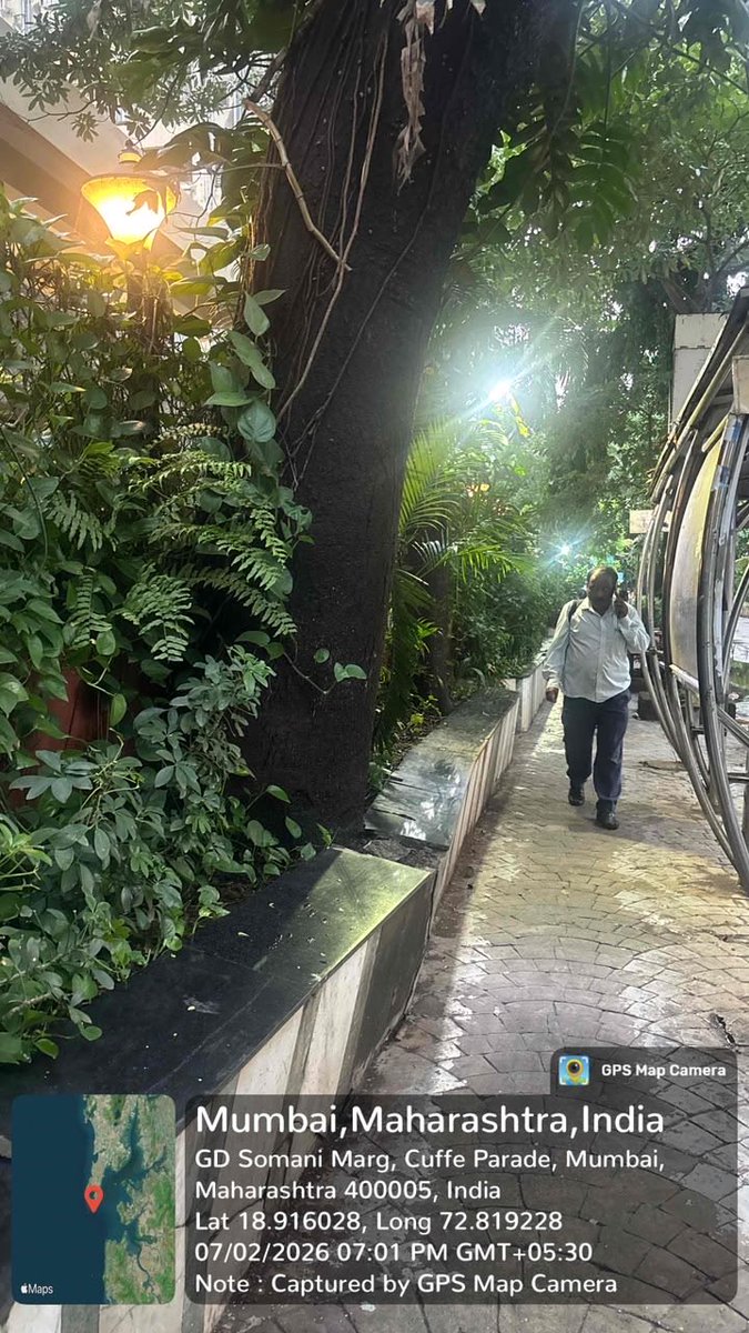 Sameer_MNS's tweet photo. @mybmc @mybmcWardA This tree is about to fall. Take necessary steps at the earliest. @richapintoi @mashrujeet @AmeetSatam @TawdeRitu . Please note that I shall hold @AshwiniBhide responsible in case any mishap happens if this is not acted upon. https://t.co/AylAryZ7tC