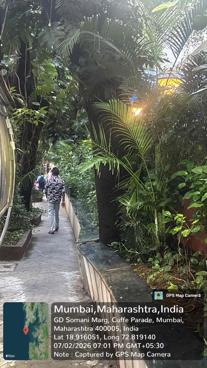 Sameer_MNS's tweet photo. @mybmc @mybmcWardA This tree is about to fall. Take necessary steps at the earliest. @richapintoi @mashrujeet @AmeetSatam @TawdeRitu . Please note that I shall hold @AshwiniBhide responsible in case any mishap happens if this is not acted upon. https://t.co/AylAryZ7tC