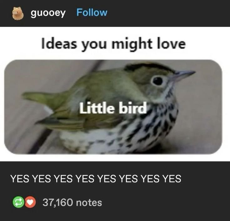 Sparrow tweet media