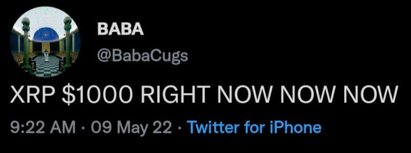 I See You tweet media