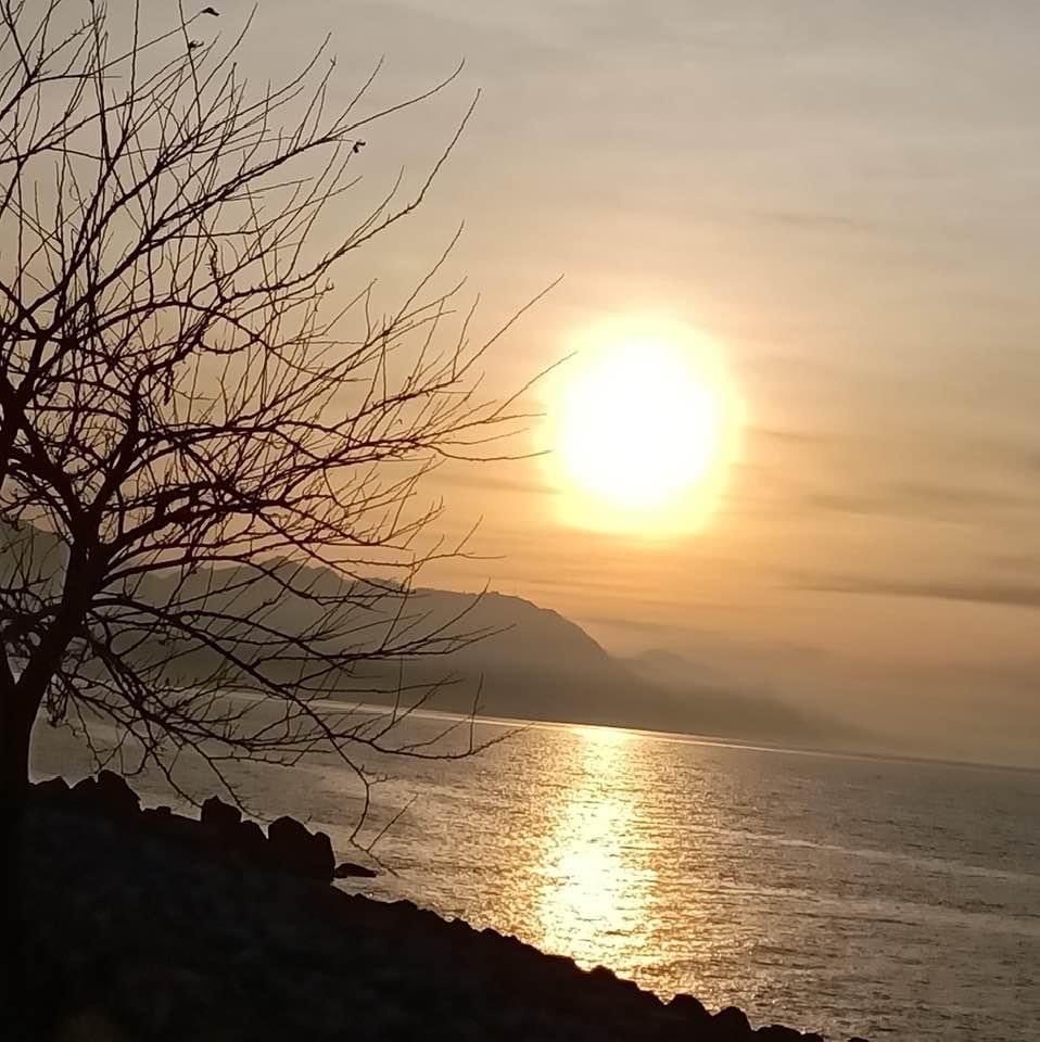 DUS_UNDUNYASI's tweet photo. Ne güzel  ￼ Demişüstat.￼￼
Hüznü emanet almıştı  biz kuşlardan,
Dalıp dalıp uzaklara 
gitmelerimiz sanırım bundan..

Vakit Akşam
                             🙏🏻Huzurla

#MutluAkşamlar https://t.co/k0BoZ0HpZd