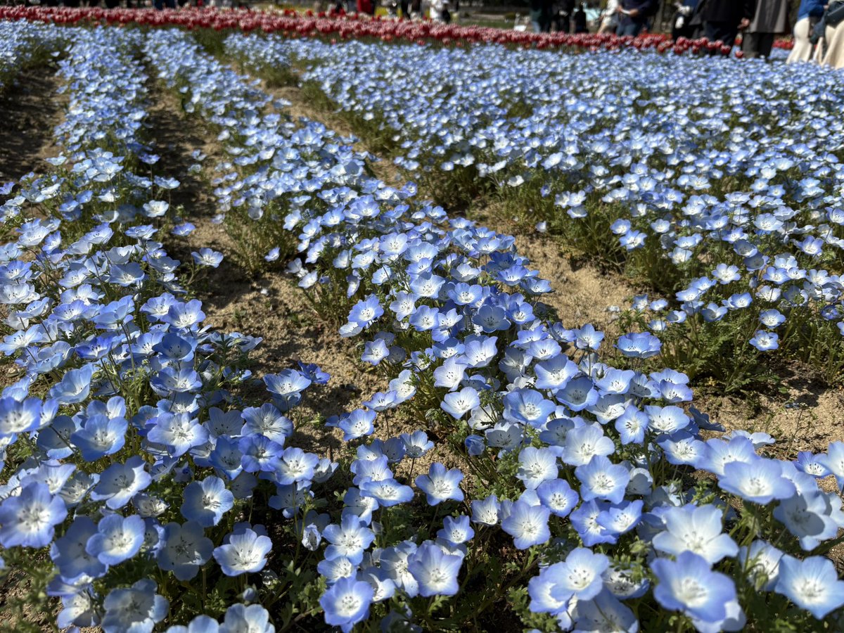 WhimsicaltoLove's tweet photo. 💐人から嫌われたら

どうしよう…と悩む人がいる

氣持ち分かりますが…

すべての人に嫌われるは不可能

すべての人に好かれるも不可能

誰しも一定数には嫌われるの

そんな貴方と合わない人に

フォーカスするだけ

時間の無駄ですよ

チョット視点を変えるだけで

人生の捉え方も

大きく変わるよ https://t.co/ywwHFqLXGX