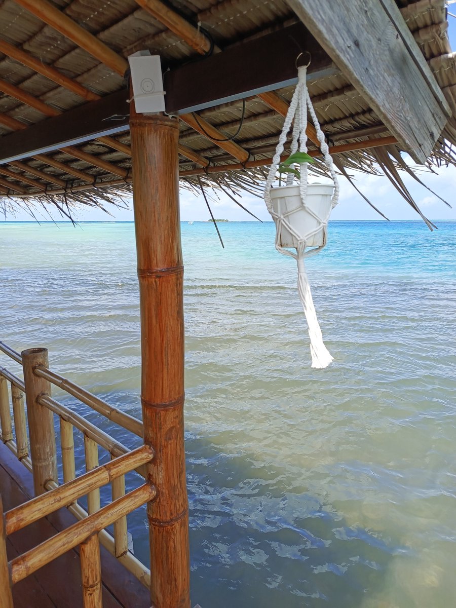 lovanarie's tweet photo. June dump 🩷

#karimunjawa https://t.co/IoZglIyt6z