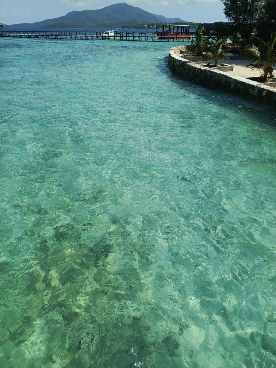 lovanarie's tweet photo. June dump 🩷

#karimunjawa https://t.co/IoZglIyt6z