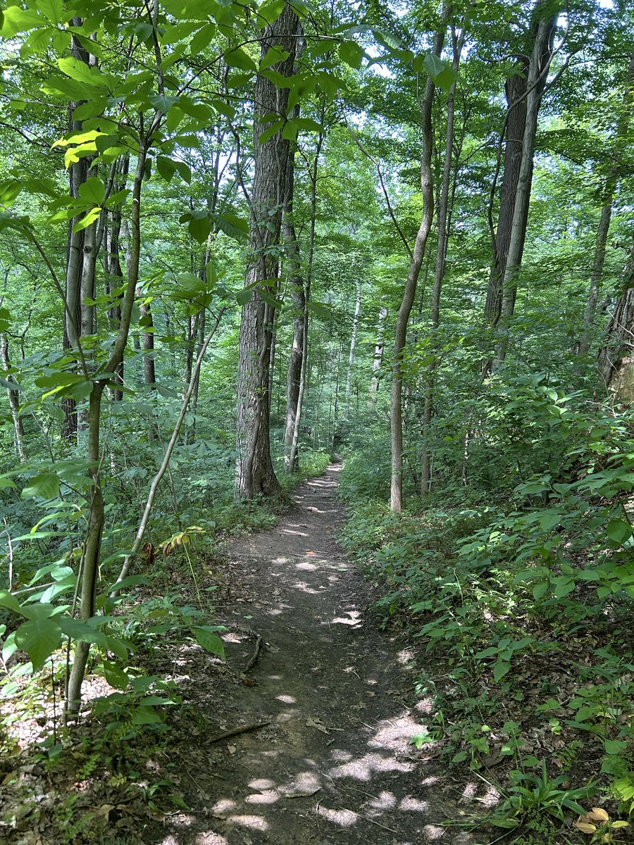 LillyPaddu's tweet photo. Photos from the hike yesterday! :D https://t.co/P291Axy46t