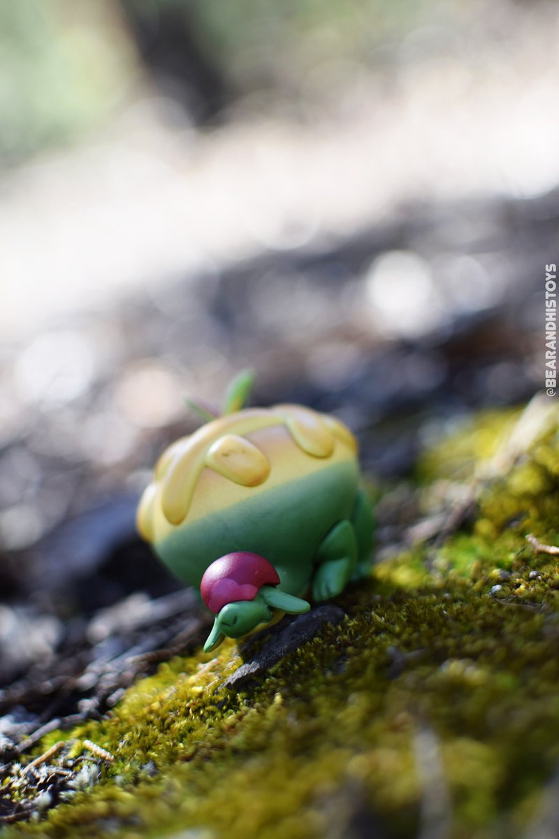 bearandhistoys's tweet photo. Applin 🍎 🐉
.
.
.
.
.
.
#toyphotography #Pokemonㅤㅤ #Jazwares #applin #PokemonFireRed #PokemonRubySapphire #PokemonLEGENDS #PokemonLegendsZA
https://t.co/Q17tfwlgyi https://t.co/BrQaGd0rkF