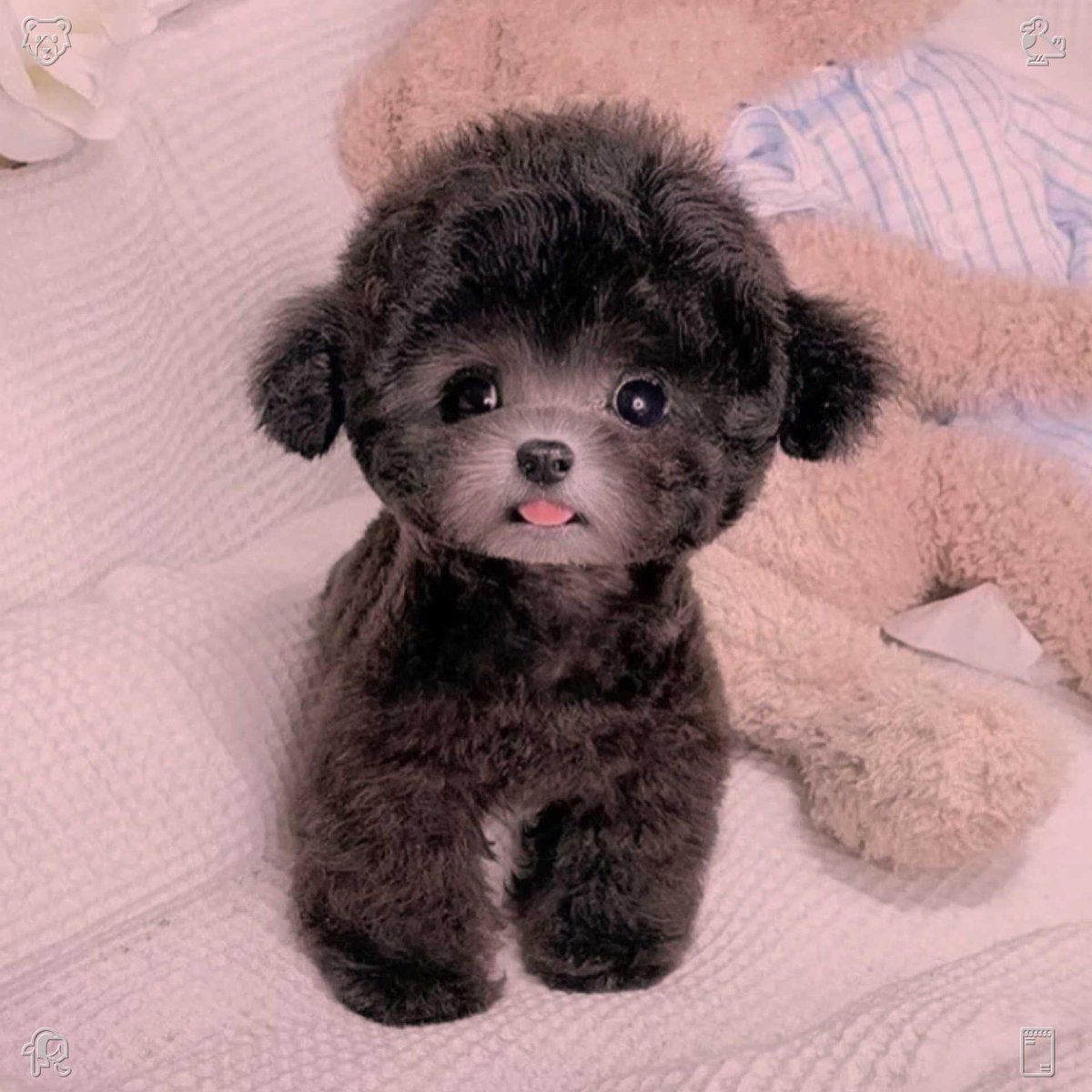 PatriziaBella's tweet photo. Puppies grow alongside their owners, witnessing every small moment of life. Their steady growth and constant companionship turn ordinary days into precious, warm memories. 💚 Production continues. A new day brings new tasks. https://t.co/RyxC3rCiZQ