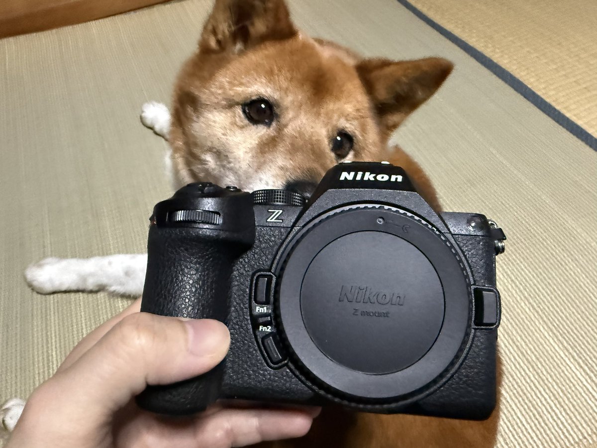 12年ぶりに新しいカメラを購入！ 初めてのフルサイズ！ z5ii