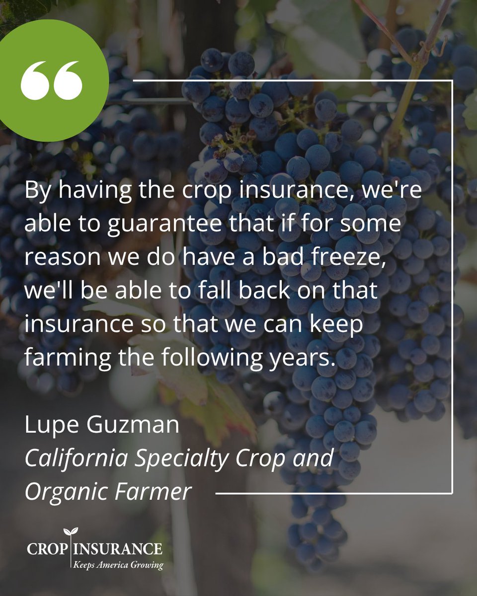 UScropinsurance's tweet photo. A freeze doesn't just threaten a crop. It can threaten the next season and the one after that.
Crop insurance helps farmers recover, keep operating, and continue farming for years to come.
#CropInsurance #FarmSafetyNet https://t.co/fTsI19MGrj
