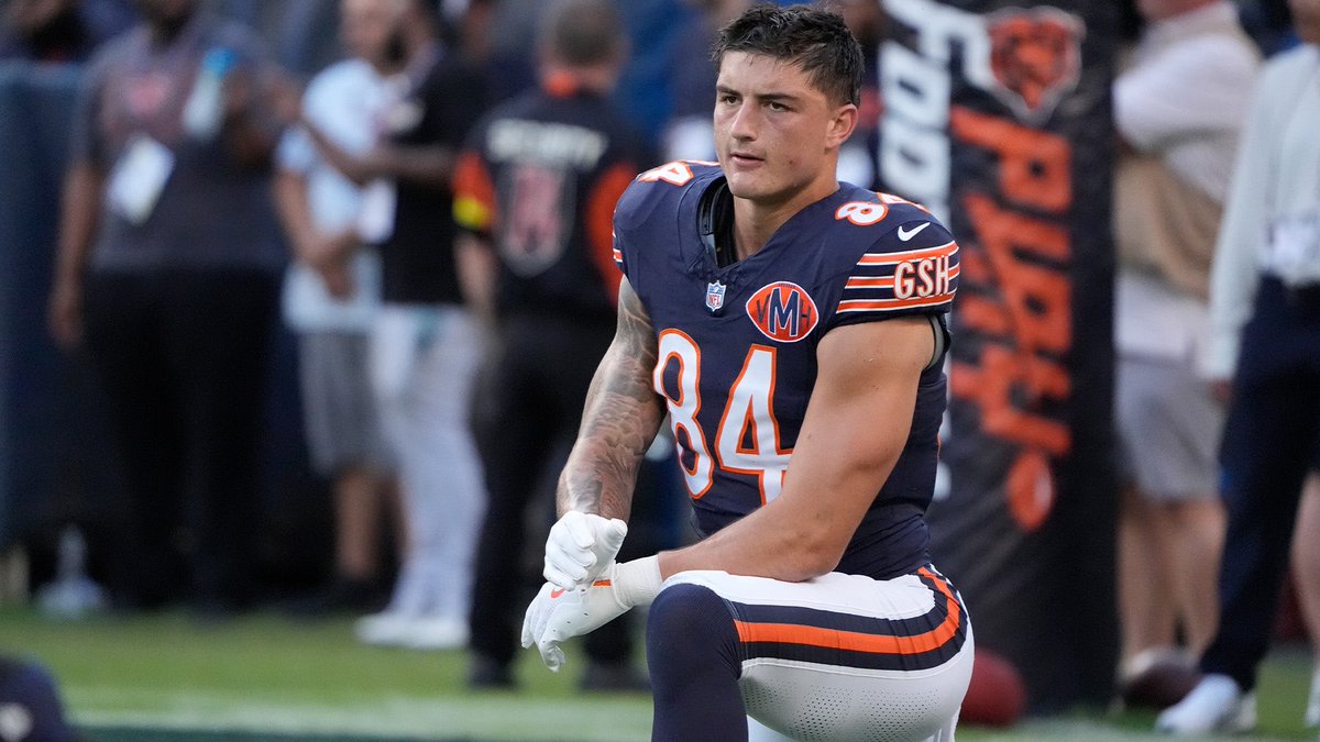 BearsMuse tweet media