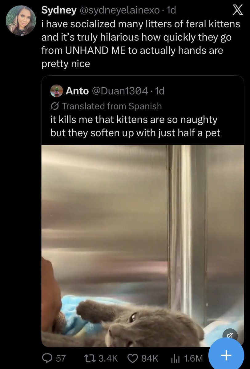 hotglassofskank's tweet photo. harrowhark nonagesimus really is just a little kitten #poolscene #emotional https://t.co/Q1Q41XIY7V
