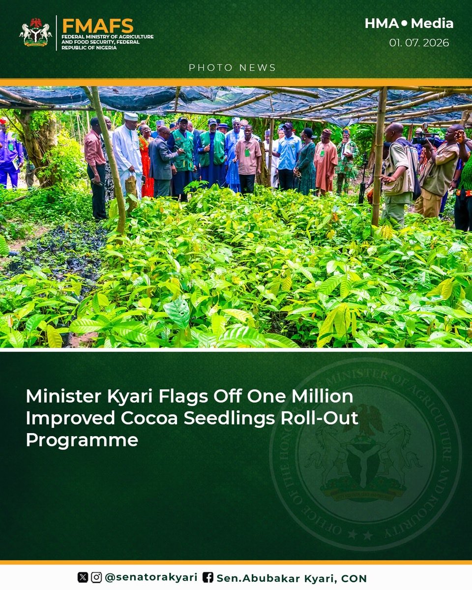 SenatorAKyari's tweet photo. Yesterday, we flagged off the One Million Improved Cocoa Seedlings Roll-Out Programme at the Cocoa Research Institute of Nigeria (CRIN), Ibadan, reaffirming our commitment to reviving Nigeria’s cocoa industry under the Renewed Hope Agenda of President Bola Ahmed Tinubu, GCFR.

The programme will provide one million improved, disease-resistant and climate-resilient cocoa seedlings to farmers across our 14 cocoa-producing states, helping to increase yields, improve farmers’ incomes and boost Nigeria’s export competitiveness.

It was inspiring to present the first seedlings to farmers, whose commitment to making the most of this intervention gives us confidence in a brighter future for Nigeria’s cocoa sector.

Together, we are growing prosperity, one seedling at a time.