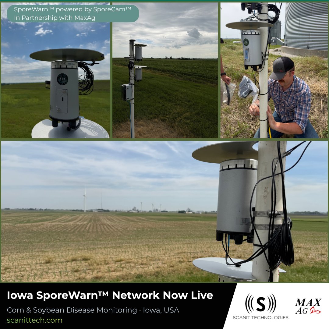 Scanittech's tweet photo. Tar spot &amp; white mold don't announce themselves - by the time you see them, they're already in the field.
We just launched the Iowa SporeWarn™ Network w/ @MaxAg- https://t.co/fKYqamU4AL https://t.co/1P2iiV4CWK
