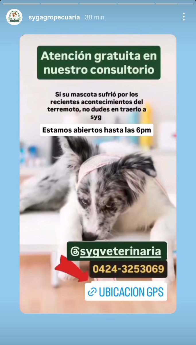 MariEle_24's tweet photo. @albacoduttivet https://t.co/F8U4DhRMV8 https://t.co/eHiotwFQ0J