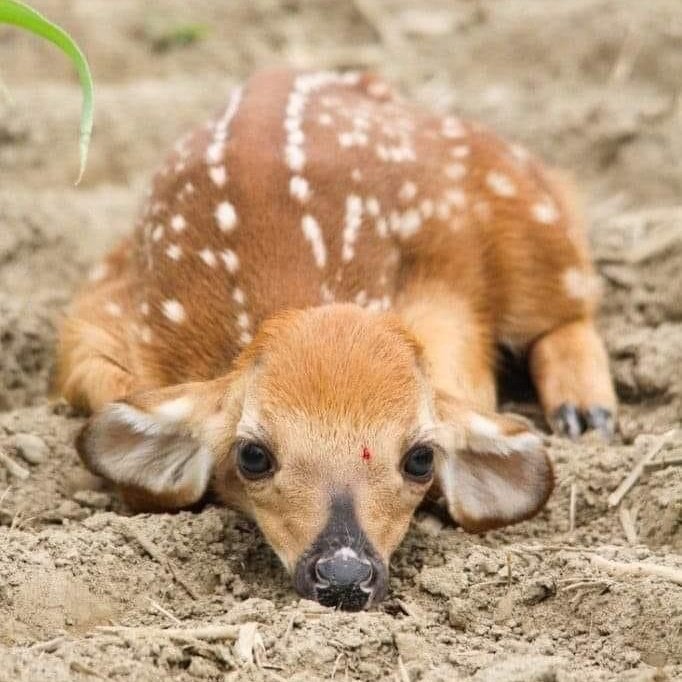 frequencydeity's tweet photo. baby baby boy https://t.co/aq6pTqjAc0
