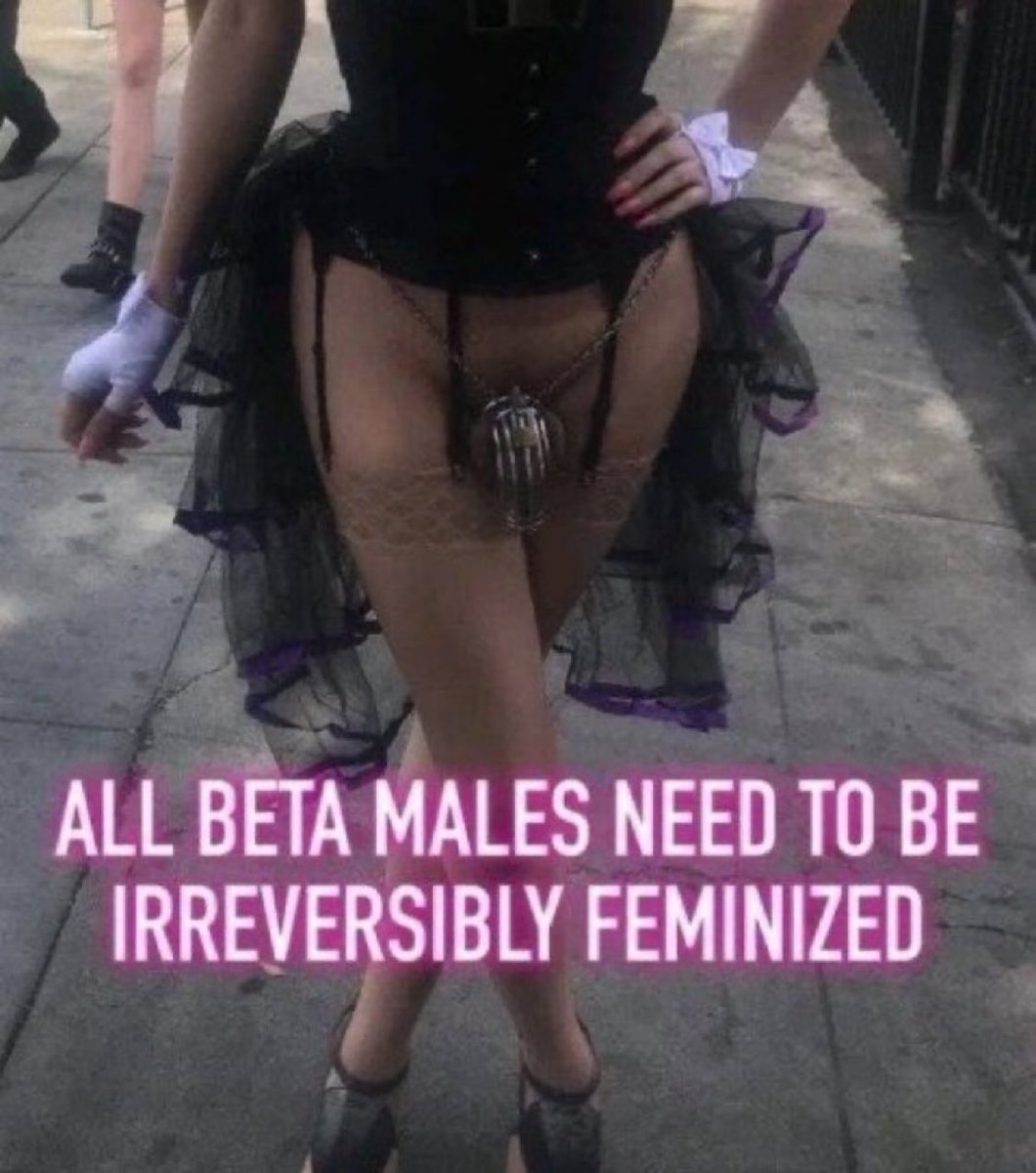 zo8650_zoey's tweet photo. Fifteen betas locked.

The world owes me a thank you. https://t.co/SS3qCzetVU