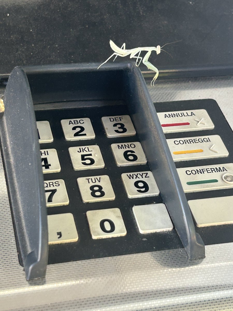 fabio_valeri's tweet photo. Prelievo ATM assistito https://t.co/GCjOZQQ2Ei