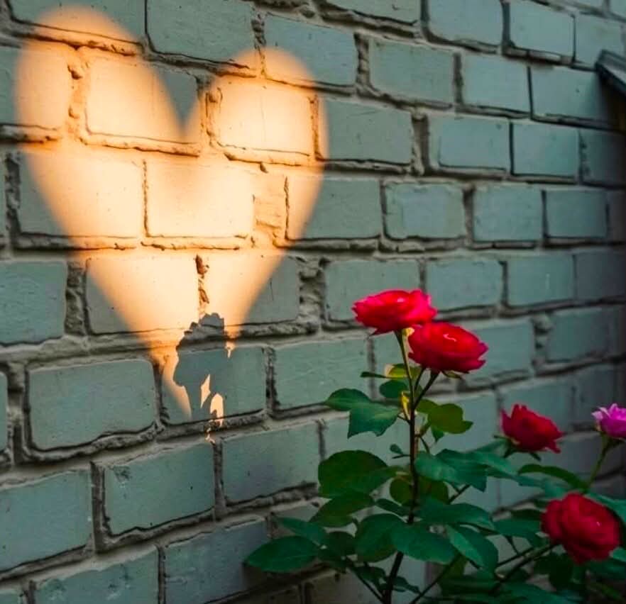 _mihraa_'s tweet photo. Her kalp ilgi aramaz,
Bazılarının sadece doğru ışığa ihtiyacı vardır...
 
☕✨🤍 https://t.co/b7OrL7yC5m