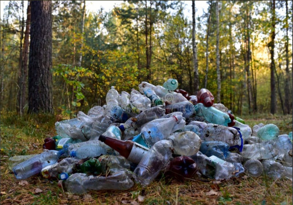 Gonzalo84539148's tweet photo. 🌎 ¿Sabías que una botella de plástico puede tardar hasta 450 años en degradarse? Pensá cuántas usamos en un solo año. ¿Vos reciclás? ♻️ #ODM2026 #MedioAmbiente https://t.co/ZrMHOhcAvL