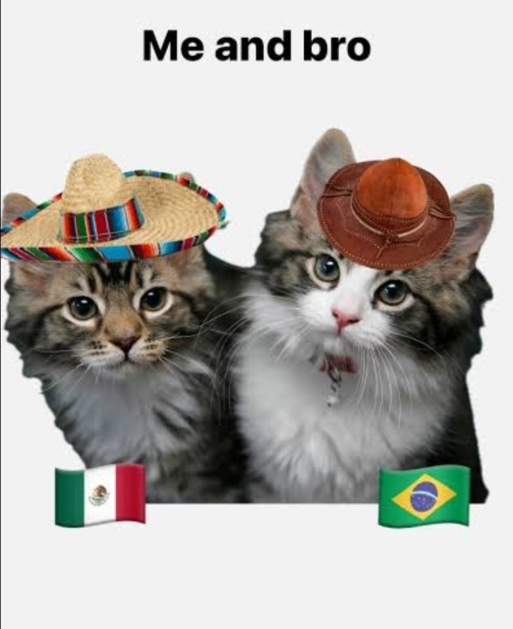 btscilantro7's tweet photo. @golsdobrasil1 El pueblo mexicano apoya a Brazil 💚🫂, a muerte la seleccion solo hizo una broma pero los esta mufando https://t.co/SJrm6e3MEV