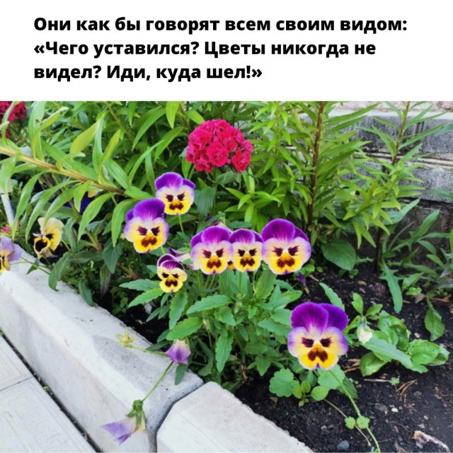 yaplakalcom's tweet photo. https://t.co/OkBAOOvb2a