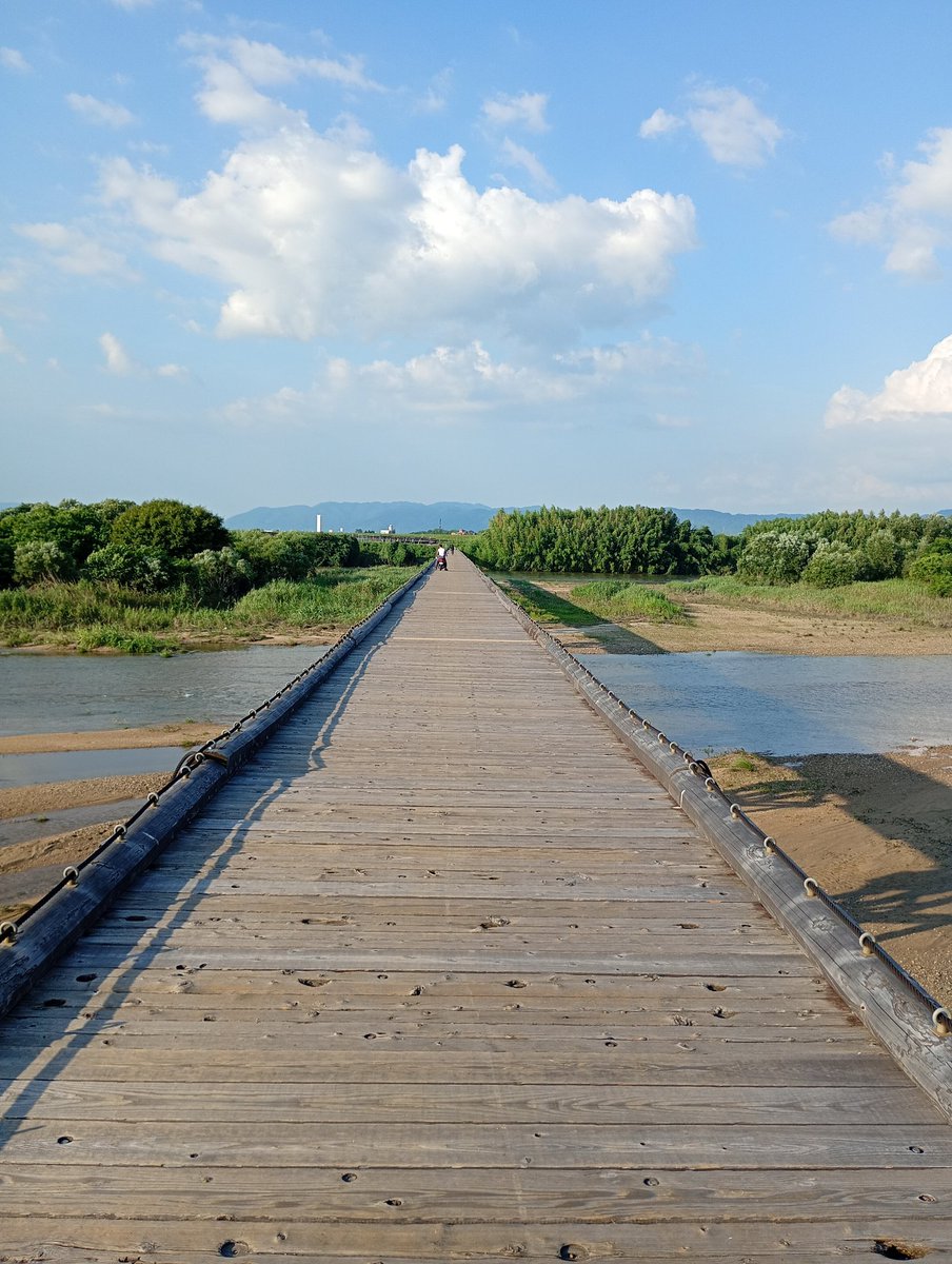 unpairo's tweet photo. 帰りついでに木津川沿いの堤防を少し歩いた。眼下に「浜茶」ブランドの茶園が広がり、なかなか眺めがよい。

途中、長い木橋で対岸に渡った。川が増水すると橋板と橋桁が外れる「流れ橋」という構造。各パーツはケーブルでつながれているため、その後��収して修復可能なんだとか。

#木津川 https://t.co/Os2WiQVMLc